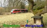 Bild zum Eintrag (907058-177)