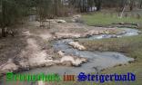 Bild zum Eintrag (907061-177)