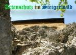 Bild zum Eintrag (907969-177)