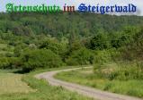 Bild zum Eintrag (908289-177)