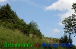 Bild zum Eintrag (908426-177)