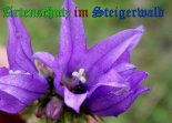 Bild zum Eintrag (908477-177)