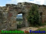 Bild zum Eintrag (908962-177)