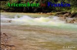 Bild zum Eintrag (910520-177)