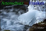 Bild zum Eintrag (911012-177)