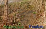 Bild zum Eintrag (911390-177)