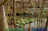 Bild zum Eintrag (911394-177)