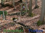 Bild zum Eintrag (911409-177)