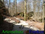 Bild zum Eintrag (911410-177)