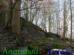 Bild zum Eintrag (911420-177)