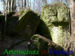 Bild zum Eintrag (911442-177)