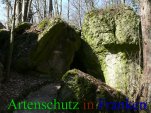 Bild zum Eintrag (911442-177)