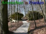 Bild zum Eintrag (911454-177)