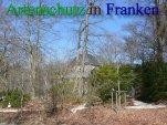 Bild zum Eintrag (911455-177)