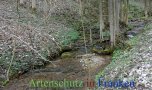 Bild zum Eintrag (911606-177)