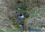 Bild zum Eintrag (911609-177)