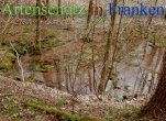 Bild zum Eintrag (911617-177)