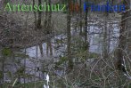 Bild zum Eintrag (911618-177)