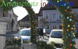 Bild zum Eintrag (911640-177)