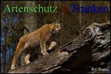 Bild zum Eintrag (911650-177)