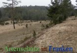 Bild zum Eintrag (911680-177)