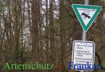 Bild zum Eintrag (911684-177)