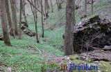 Bild zum Eintrag (911701-177)