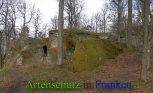 Bild zum Eintrag (911762-177)