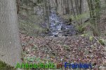 Bild zum Eintrag (911829-177)