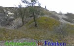 Bild zum Eintrag (911874-177)