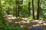 Bild zum Eintrag (912110-177)