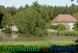 Bild zum Eintrag (912124-177)