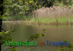 Bild zum Eintrag (912131-177)