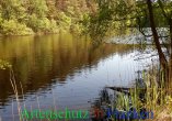 Bild zum Eintrag (912140-177)