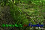 Bild zum Eintrag (912155-177)