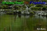 Bild zum Eintrag (912165-177)