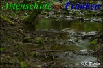 Bild zum Eintrag (912168-177)