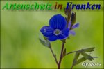 Bild zum Eintrag (912182-177)