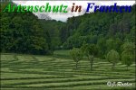 Bild zum Eintrag (912198-177)