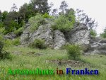 Bild zum Eintrag (912208-177)