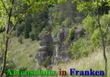 Bild zum Eintrag (912220-177)