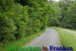 Bild zum Eintrag (912232-177)