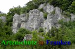 Bild zum Eintrag (912234-177)