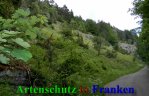 Bild zum Eintrag (912237-177)