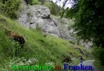 Bild zum Eintrag (912239-177)