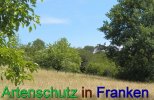 Bild zum Eintrag (912254-177)