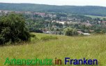 Bild zum Eintrag (912256-177)