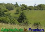 Bild zum Eintrag (912257-177)