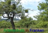 Bild zum Eintrag (912260-177)