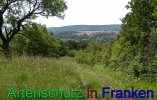 Bild zum Eintrag (912262-177)